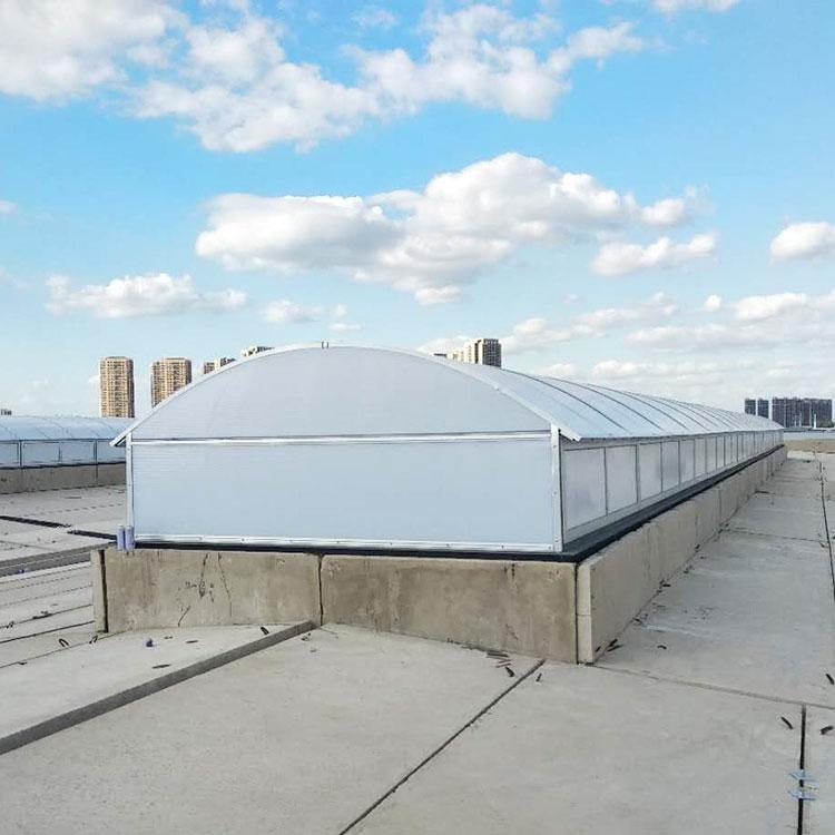 側(cè)開(kāi)型電動(dòng)采光排煙天窗